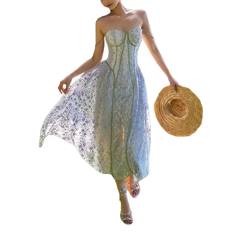 Elegant Lace Dress