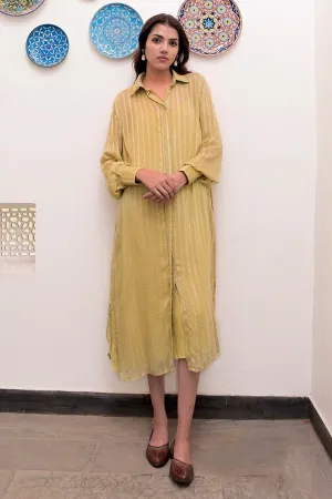 Pista Green Shirt Dress & Slip