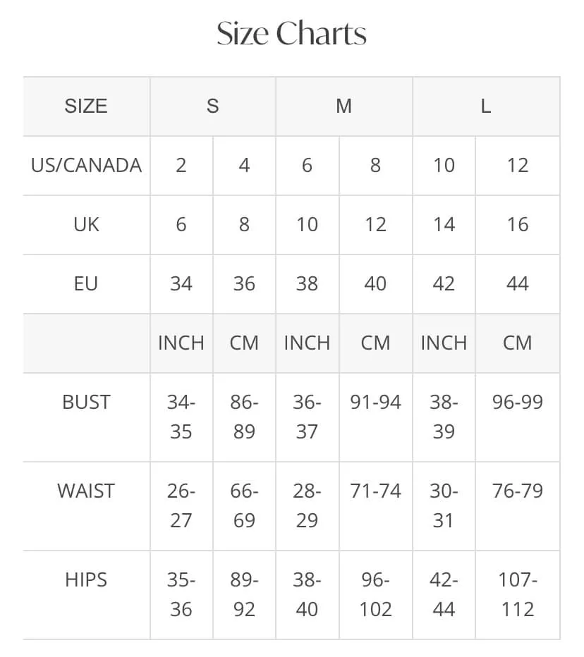 Wedding Guest Maxi Satin Slip Dress